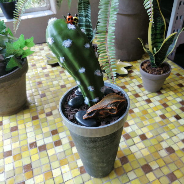 Fantastic plastic cactus