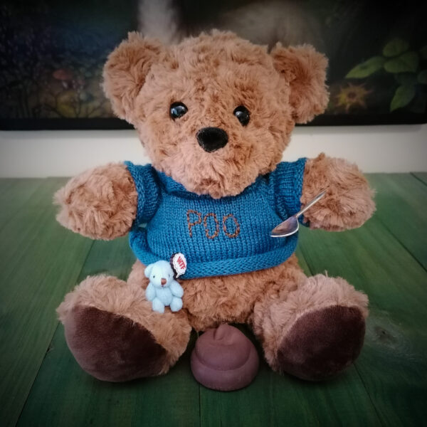 Poo bear 2