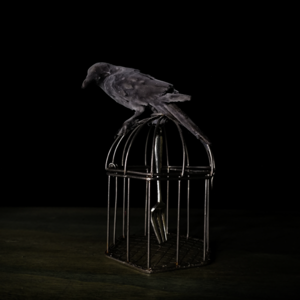Miniature gothic sculpture of a textured matte black crow perched on top of a small distressed metal cage containing a single tiny metal fork hanging inside against a stark black background.