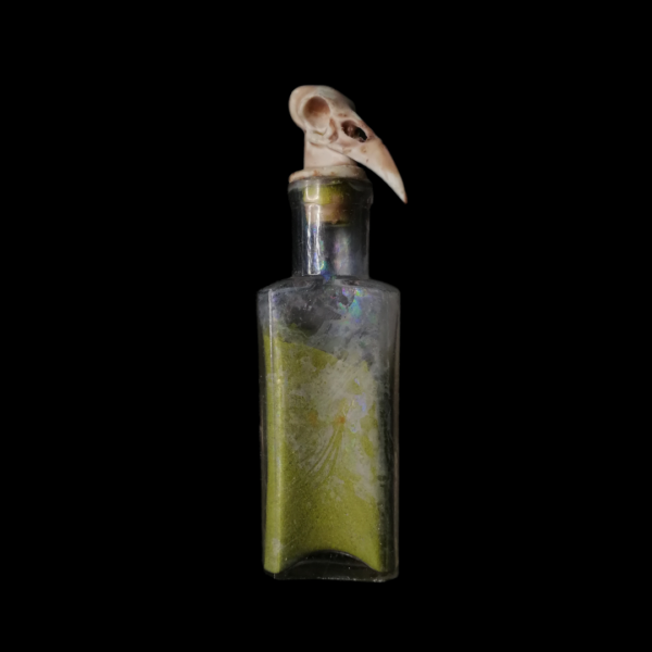 ARSENIC & OLD CROWS APOTHECARY BOTTLE: An old antique bottle, topped with a fake crows skull. The bottle is contains harmless green powder and the lid is not removable.